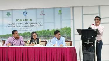 জলবায়ু পরিবর্তনের ক্ষতি মোকাবিলায় উপকূলীয় বন রক্ষার বিকল্প নেই