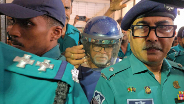 বিতর্কিত নির্বাচনের জন্য কমিশনকে দায়ী করা যায় না : আদালতকে নুরুল