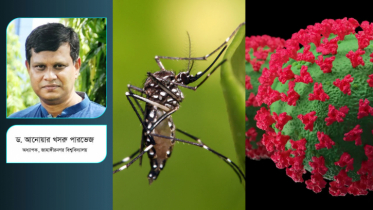 কোভিড ও ডেঙ্গু রোগী বাড়ছে, আপনি নিরাপদ তো?